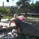 Andy San Dimas in 'BTS Episode 30'