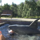 Andy San Dimas in 'BTS Episode 30'