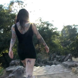 Scenic Hike!
