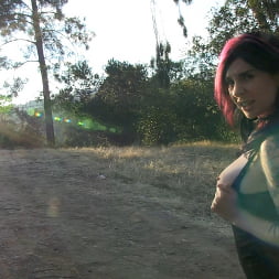 Scenic Hike!