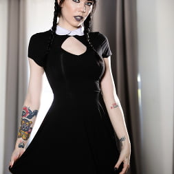 Very Adult Wednesday Addams - Leda Bear