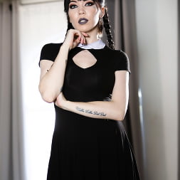 Very Adult Wednesday Addams - Leda Bear