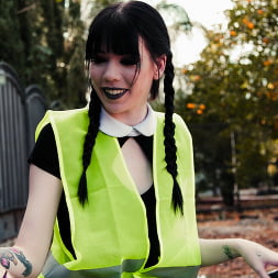 Very Adult Wednesday Addams - Leda Bear
