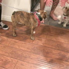 Lily Lane in 'BTS Episode 60'