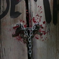 Walking Dead BJ