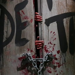 Walking Dead BJ